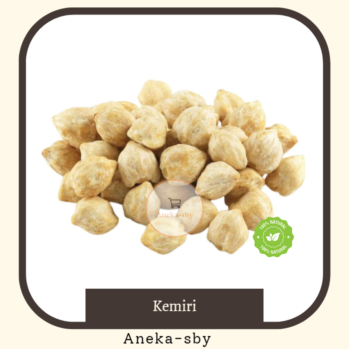 

Kemiri Bulat Candlenut Premium 1kg termurah