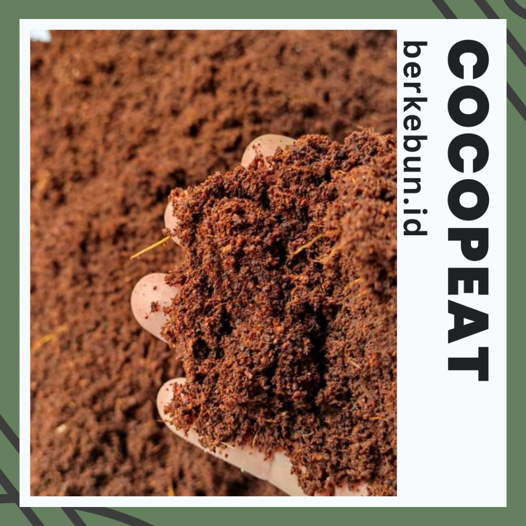 COCOPEAT - MEDIA TANAM SIAP PAKAI PREMIUM