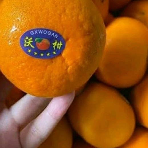 

Jeruk Wogan/Wokam/500gr/1kg
