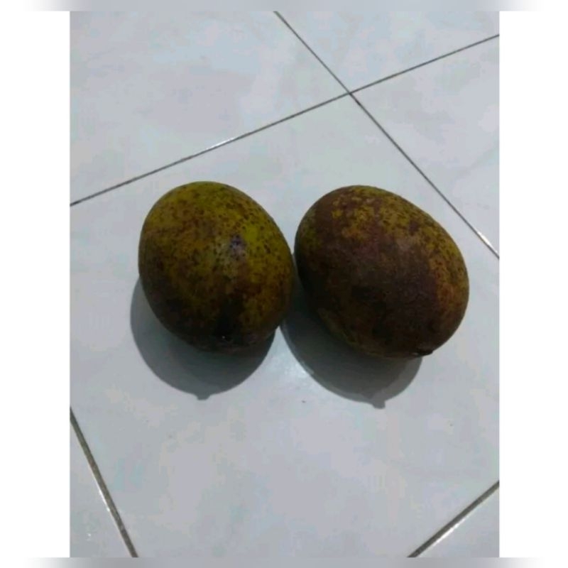 

Mangga Kweni Fresh Tua Pohon 1 kg