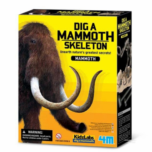

Promo Dig A Dinosaur Skeleton 4M Gali Tulang Dino Gajah Mammoth 21 Cm Berkualitas