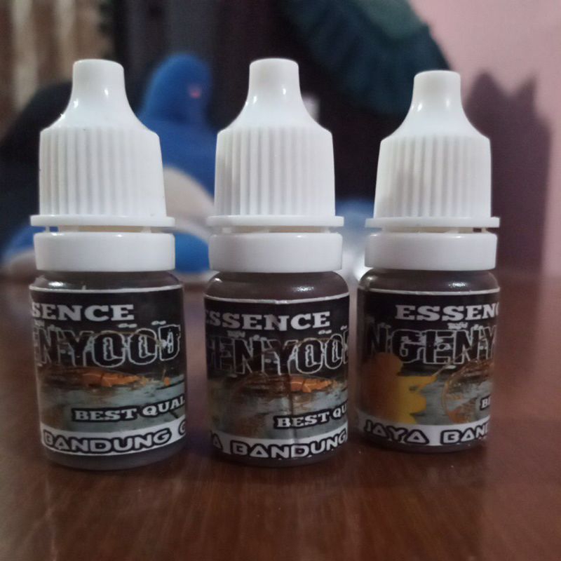 essen fjb singenyod 04