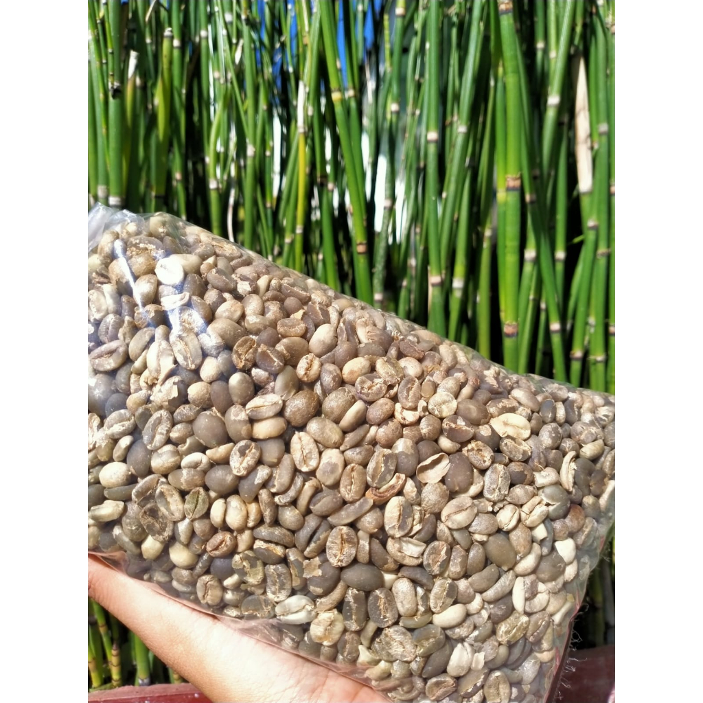 

Kopi Luwak Arabica Leggiero 100gram I Greenbean