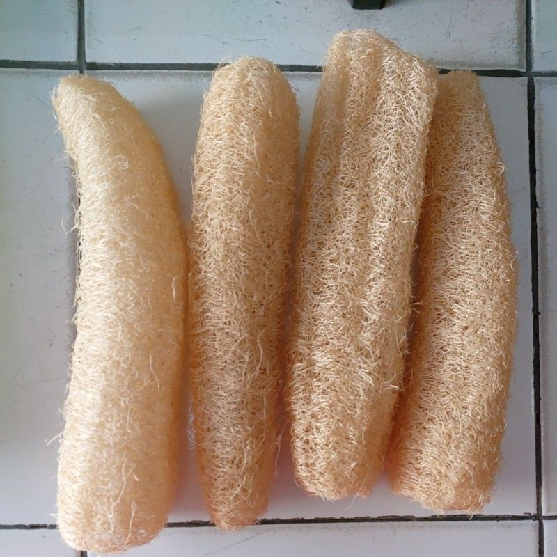 sabut cuci piring oyong