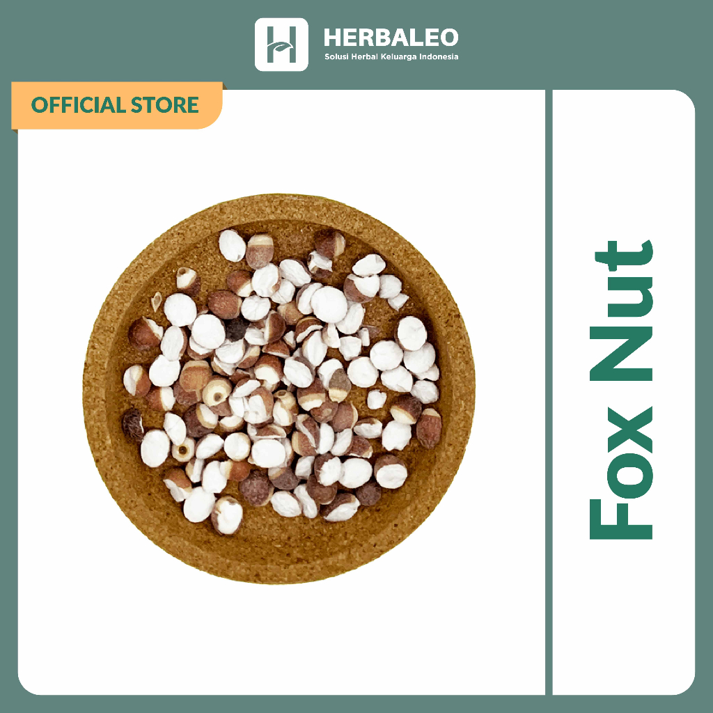 

Herbaleo Qian Shi Fox Nut 5g Kiansep Euryale Seed Membantu Menjaga Kesehatan Jantung dan Limpa