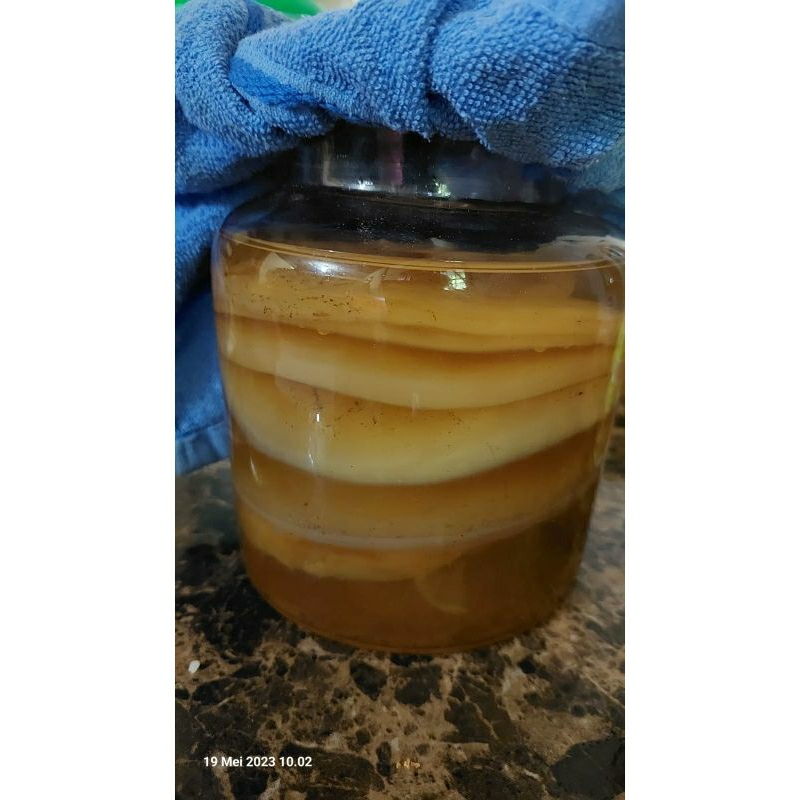 

Bibit Kombucha Berkualitas / Scoby / Air Starter