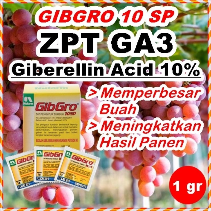 Zat Pengatur Tumbuh Buah GibGro 1Gram