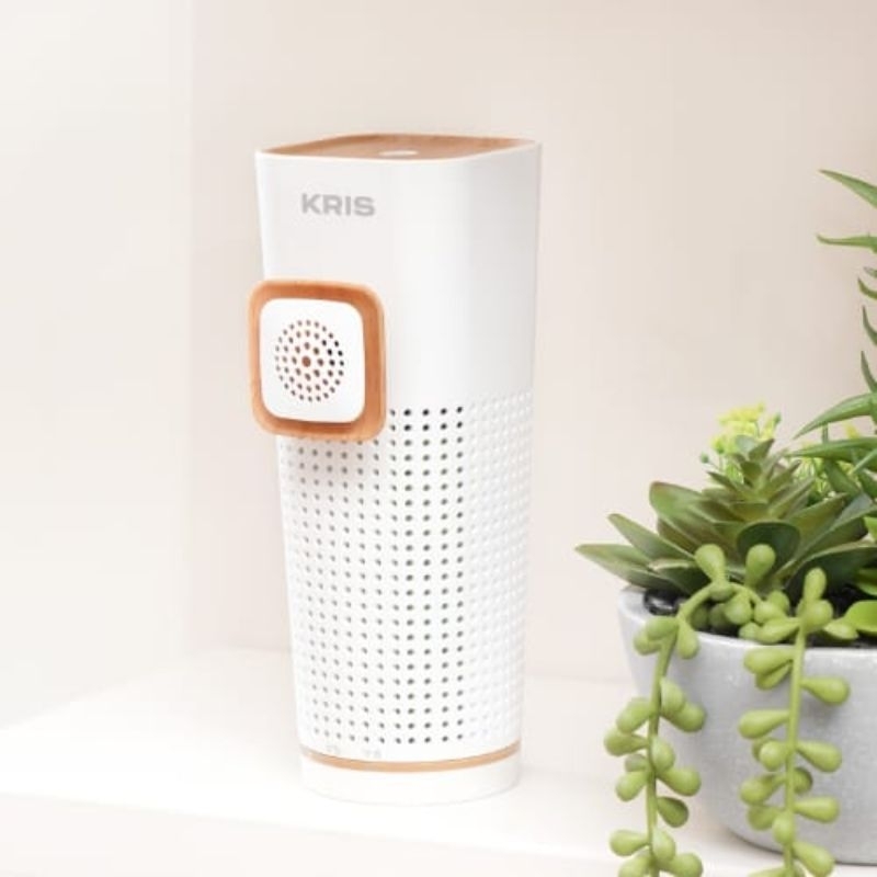 Air Purifier Mini