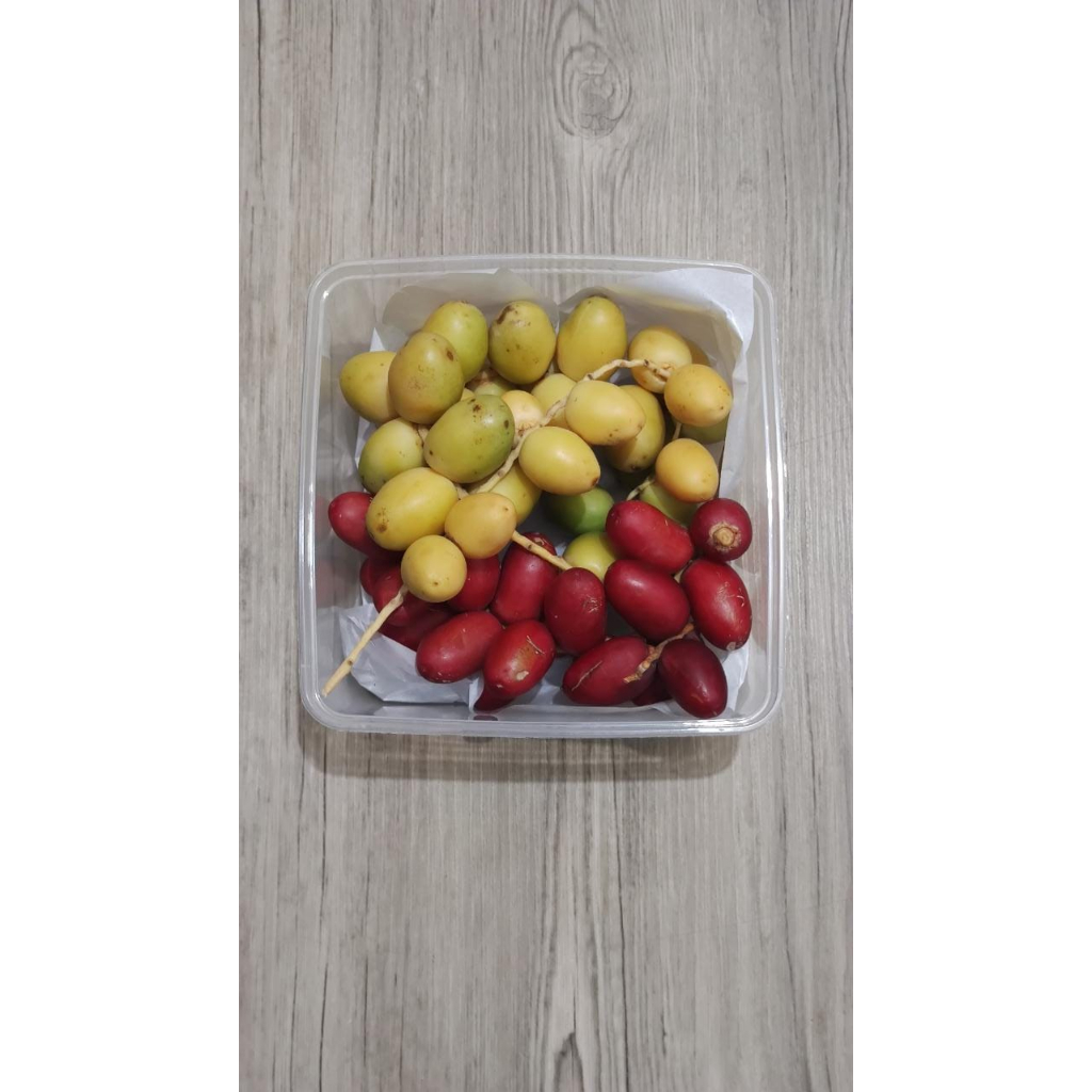 

Kurma Muda Segar 500gr