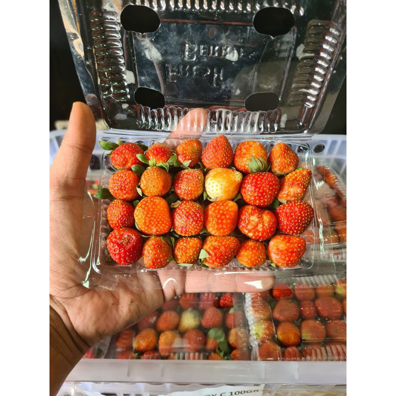 

Juraganbuah Buah Strawberry Lokal Grade B