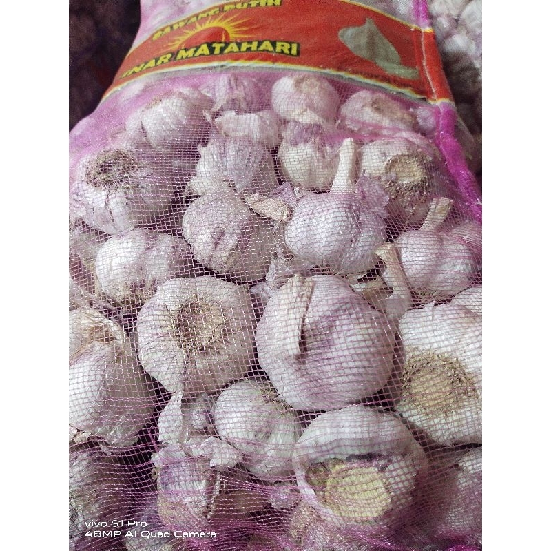 

BAWANG PUTIH SINCO 1KG