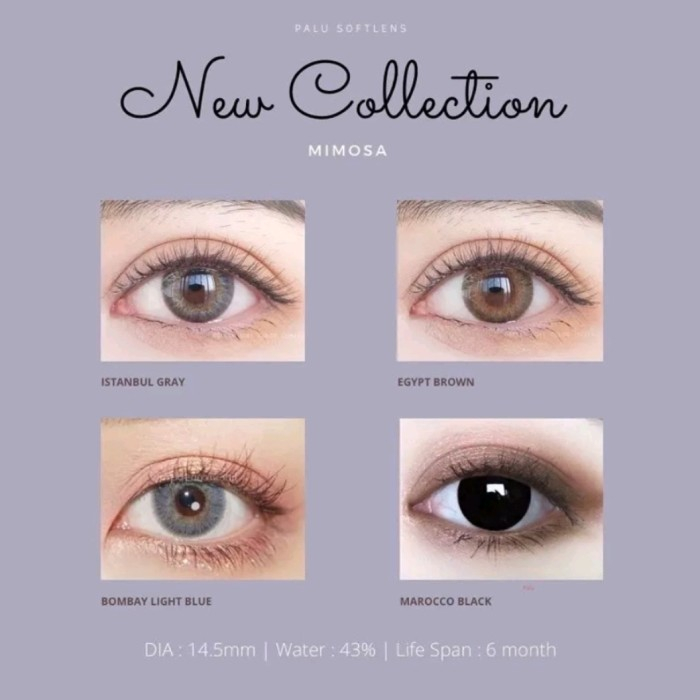 SOFTLENS MIMOSA SOFTLENS NORMAL DAN MINUS