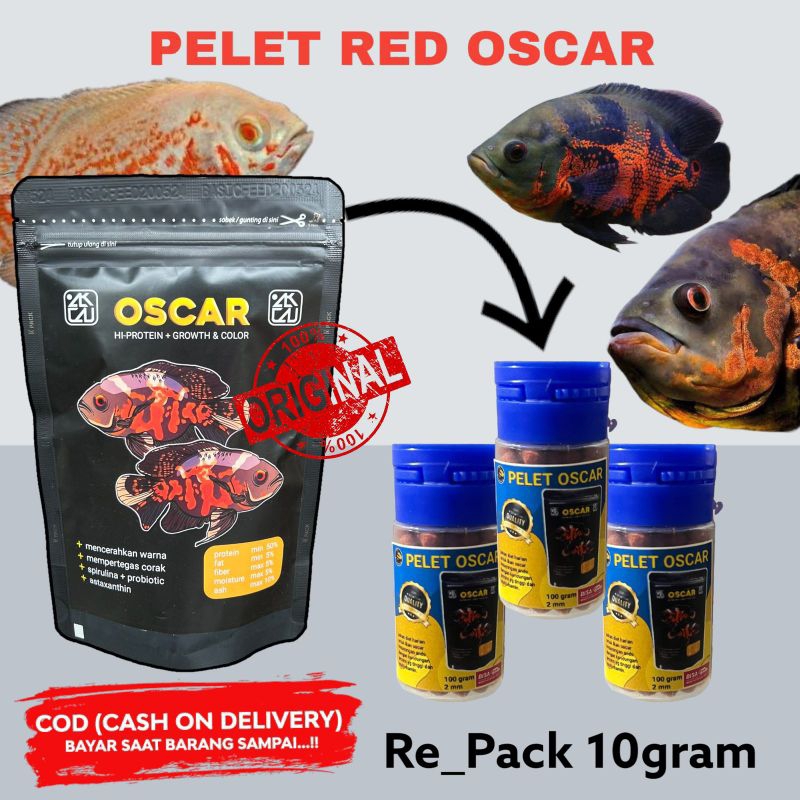 10gram pelet ikan oscar  | pakan ikan predator | makanan ikan predator oscar tiger oscar albinno