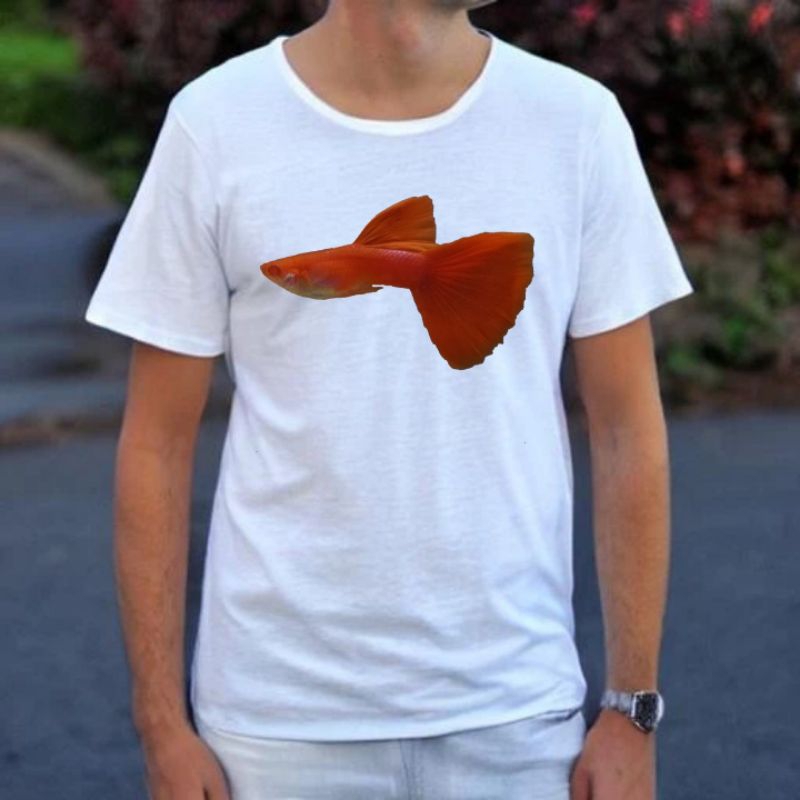 Guppy Albino Full Red