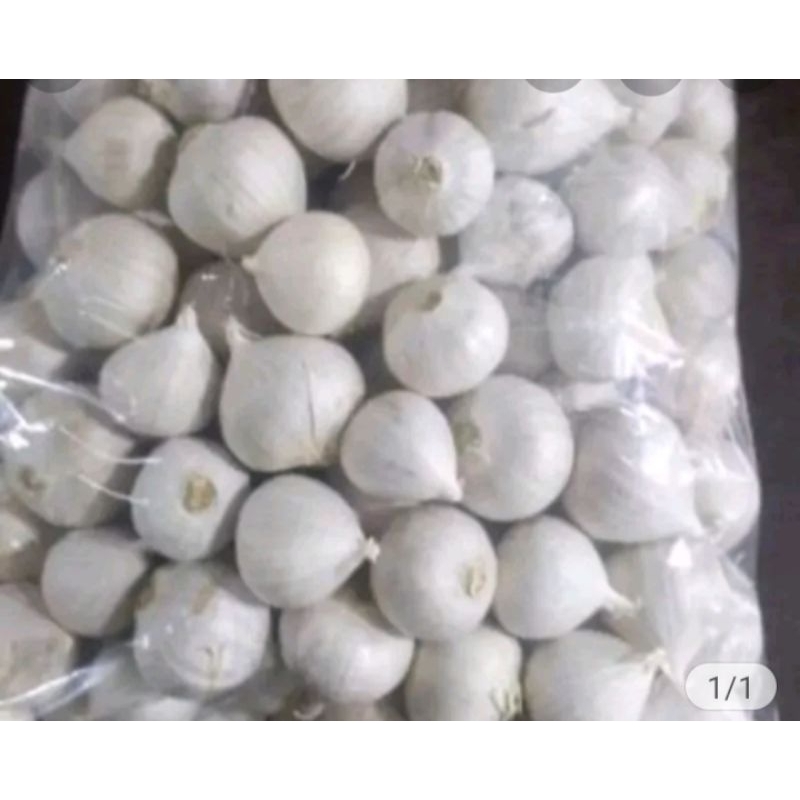 

PROMO Bawang Putih Tunggal 2 kg - Dasun - Bawang Lanang