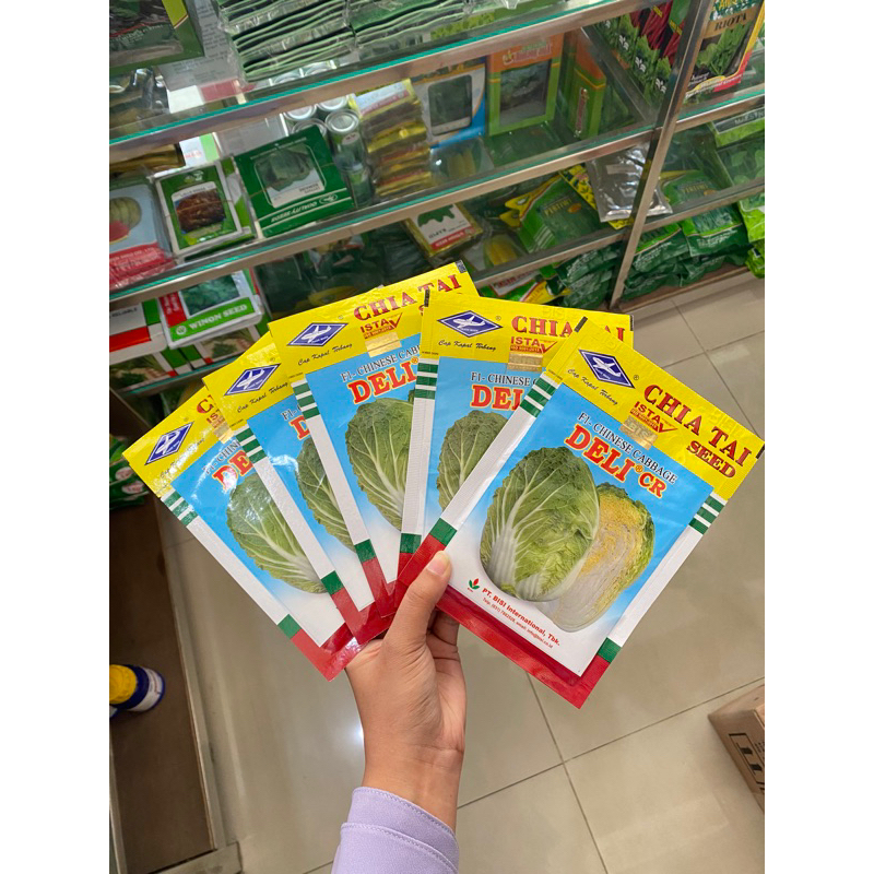 Benih/Bibit Sawi Putih Deli CR Cap Kapal Terbang