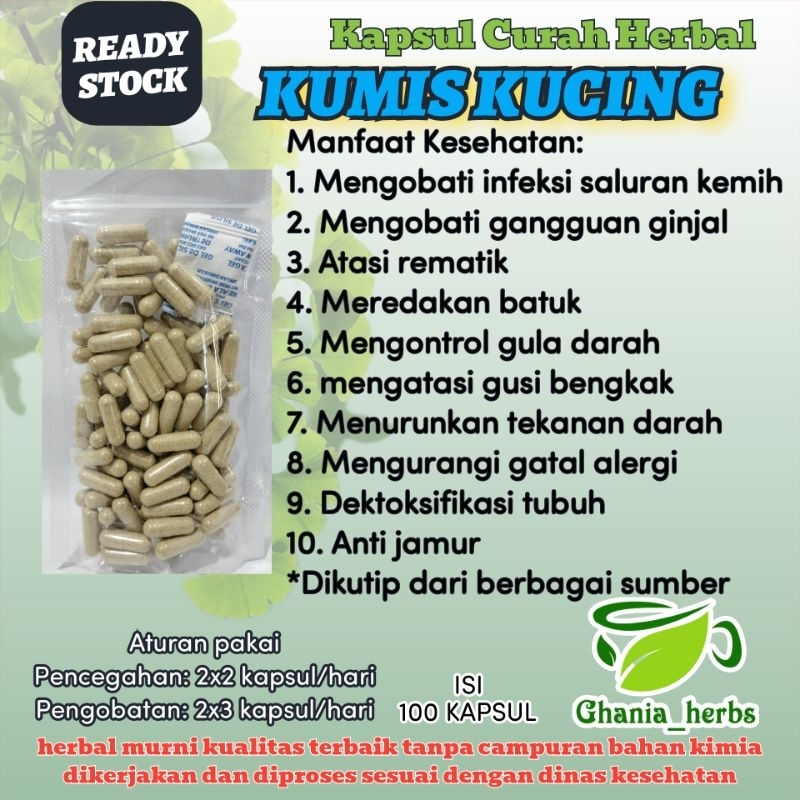 Kapsul Herbal KUMIS KUCING isi 100 Kapsul