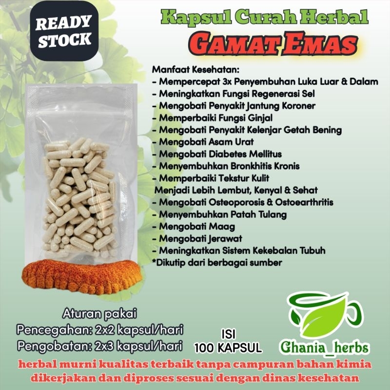 Kapsul Herbal GAMAT EMAS isi 100 Kapsul