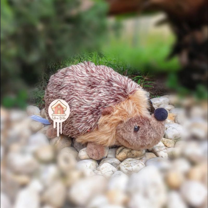 FAO Schwarz Hedgehog Plush