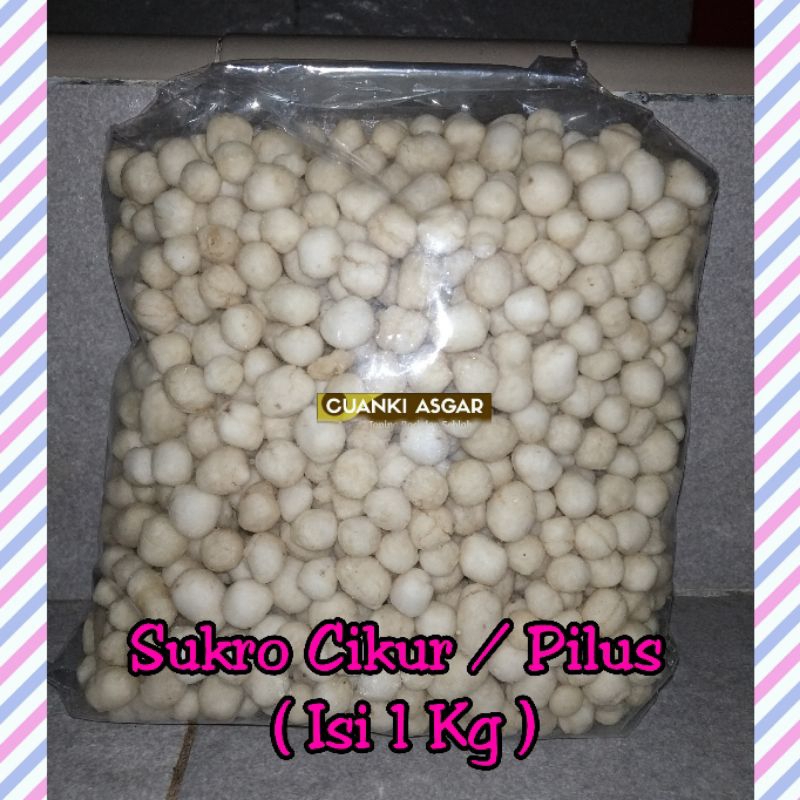 

Sukro Cikur 1KG - Pilus Cikur - Toping Boci Seblak Mie Ayam Bakso