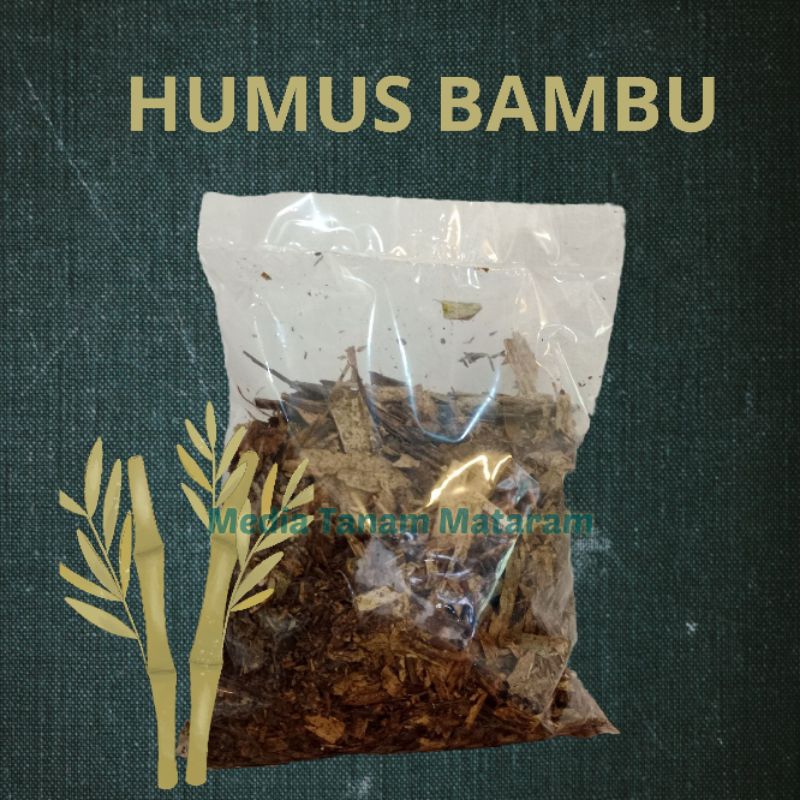 HUMUS BAMBU | DAUN BAMBU FERMENTASI