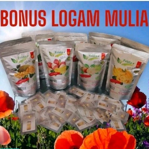 

FRISTA Paket 4pcs Keripik Buah Nangka Pisang Salak Apel Bonus Logam Mulia