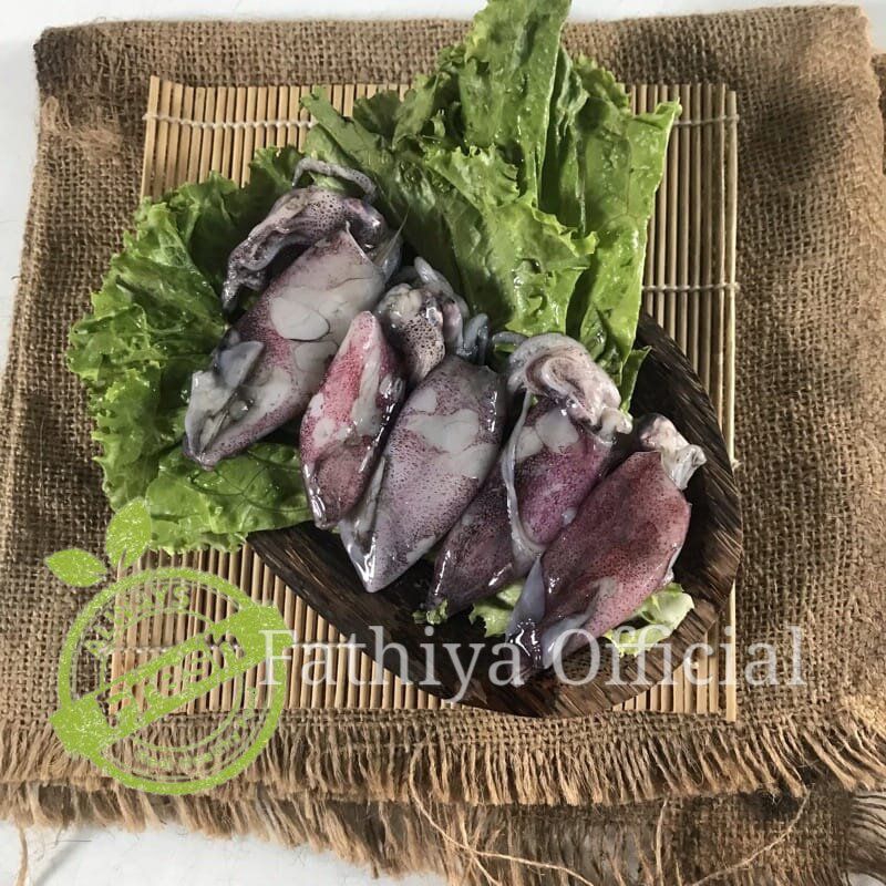 

Cumi Basah Segar 500gram - 1Kg | naga_exspress