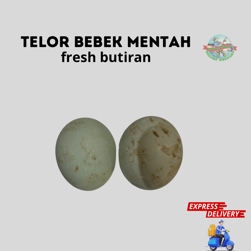 

Telor Bebek mentah Fresh baru Butiran