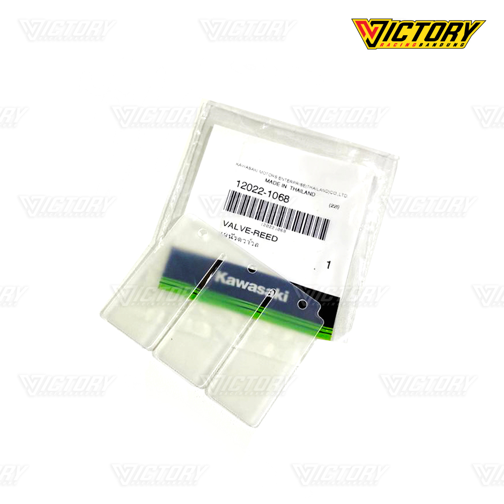 LIDAH MEMBRAN NINJA R RR 12022-1068 ASLI ORI KAWASAKI