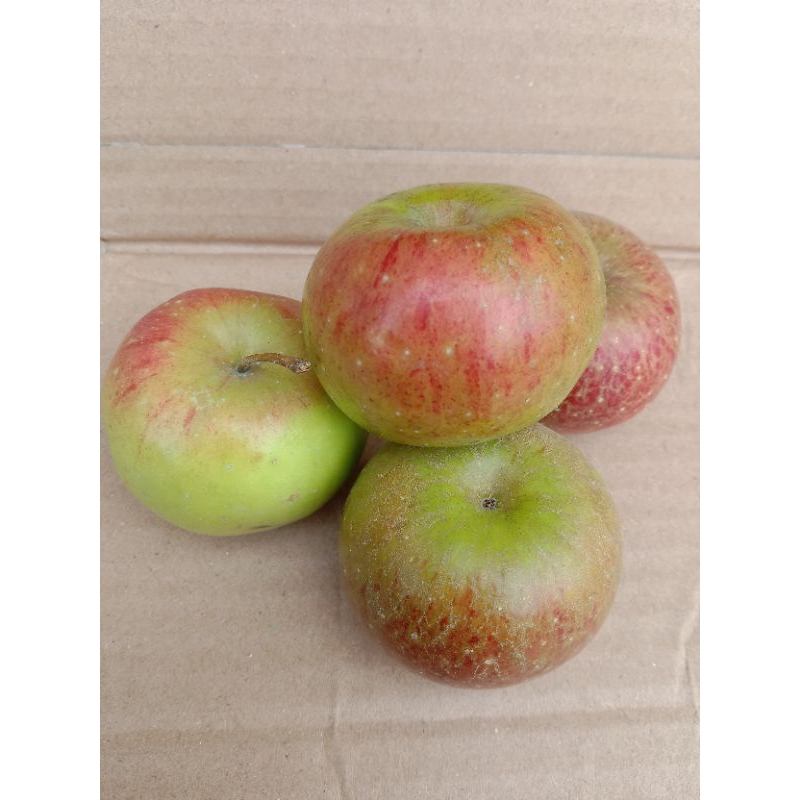 

Apel Rome Beauty Asli Kota Batu Apel Rasa Masam Segar Berat 1kg