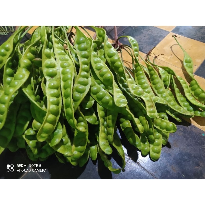 

Pete ne bosku, hasil kebun