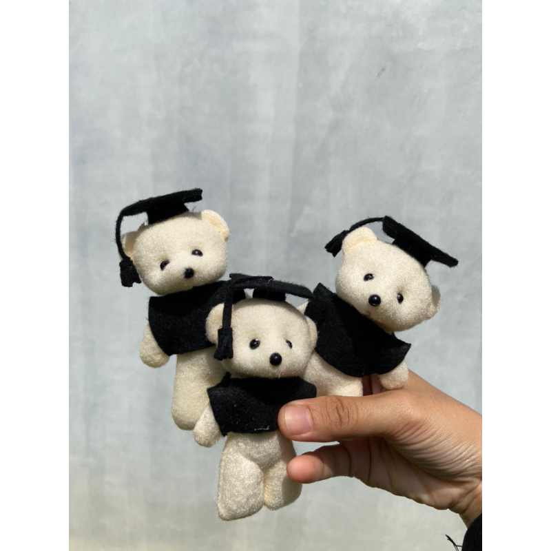 Boneka Wisuda Mini Boneka Buket Buket Boneka