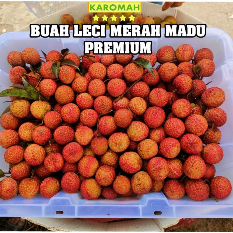 

BUAH LECI MERAH MADU PREMIUM 1KG / BUAH LECI MADU PREMIUM