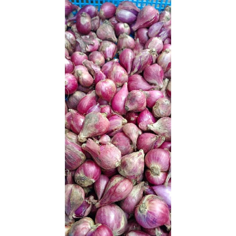 

bawang merah 250gr