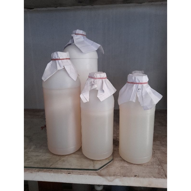 

BIBIT NATA DE COCO ACETOBACTER XYLINUM/ GLUCONOBACTER XYLINUM KURLEB 200ML
