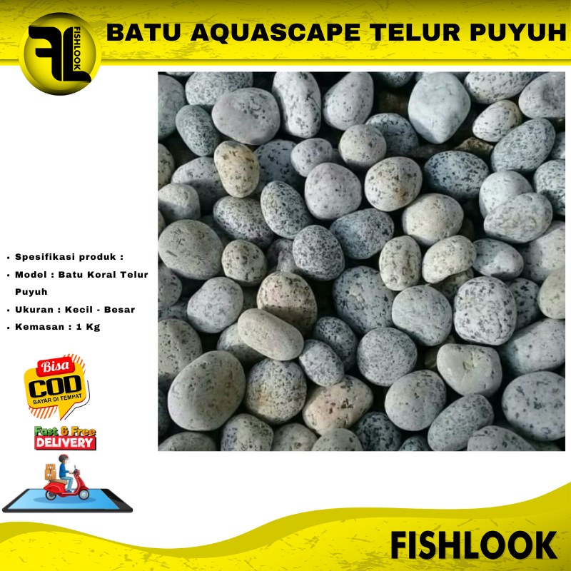 Batu koral Telur Puyuh 3-5cm BESAR DAN KECIL 1kg AQUARIUM AQUASCAPE