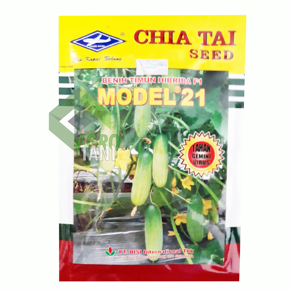 Benih Timun Model 21 20 Gram | Model 21 20Gram | Timun Model 21 | Timun Model21