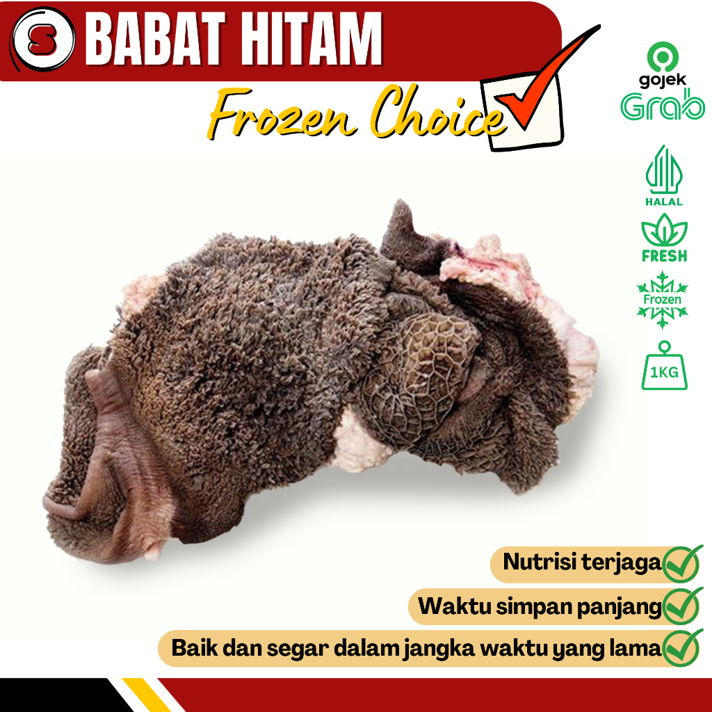 

Sapina Daging Jeroan Sapi Grosir Babat Sapi Babat Hitam Murah & Halal 1kg