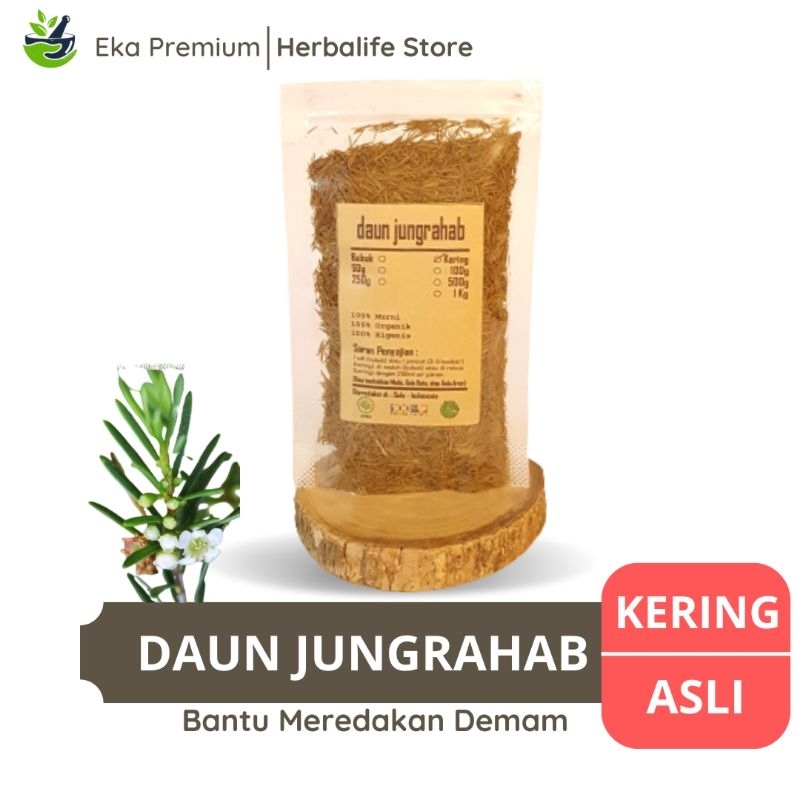 

DAUN JUNGRAHAB KERING Ujung Atap Asli Ramuan Rempah Herbal Murni Jamu Minuman Tradisional Rambu Cucur Baeckea Frustescens