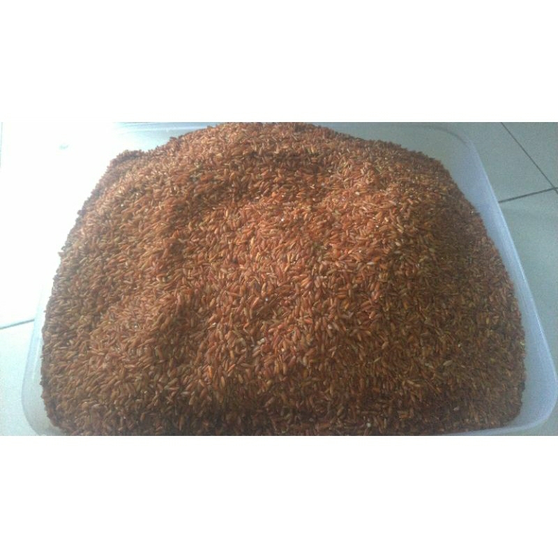 

beras merah bersih siap makan 500gr