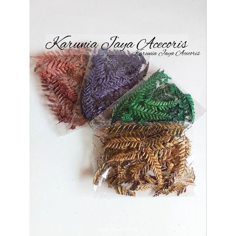 

Daun PAKIS kering || daun Acecoris parcel parsel