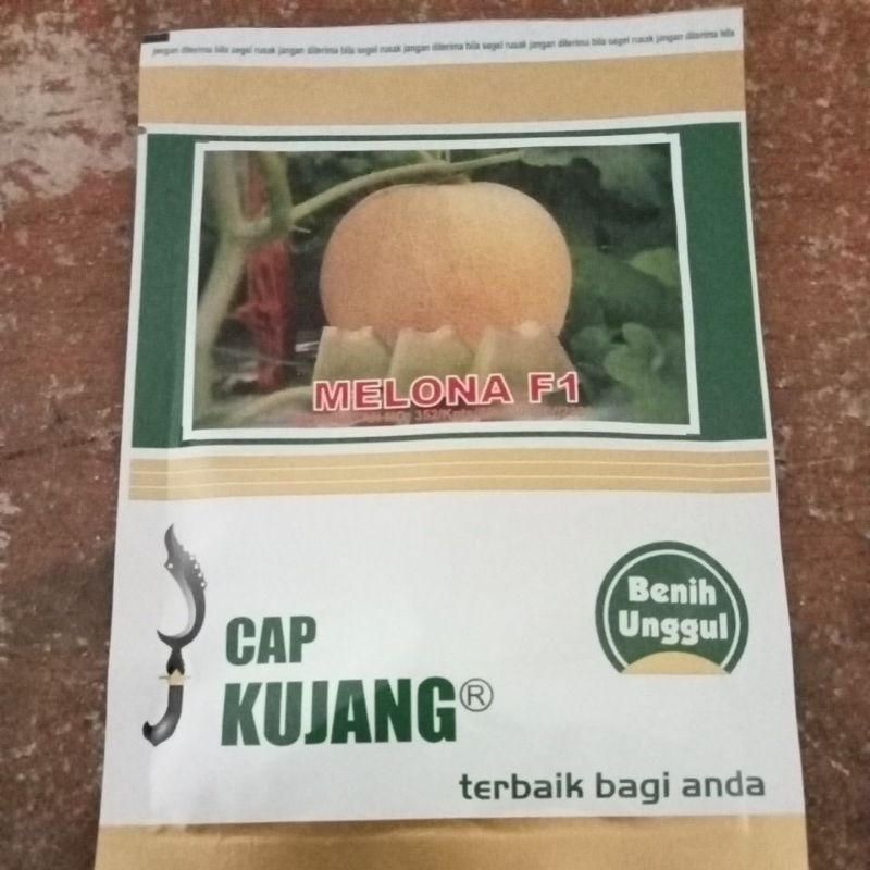Benih melon tahan virus MELONA F1 -+600Btr CAP KUJANG
