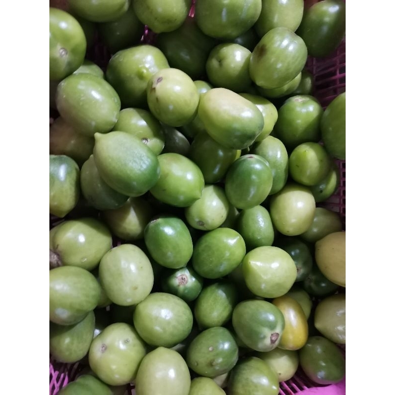 

TOMAT IJO 250gr