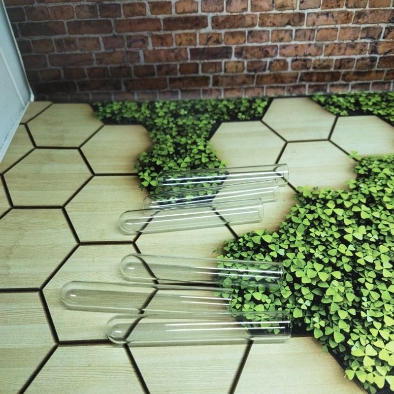 TABUNG REAKSI  / test tube glass (250 pcs)  3 mL 12/75mm