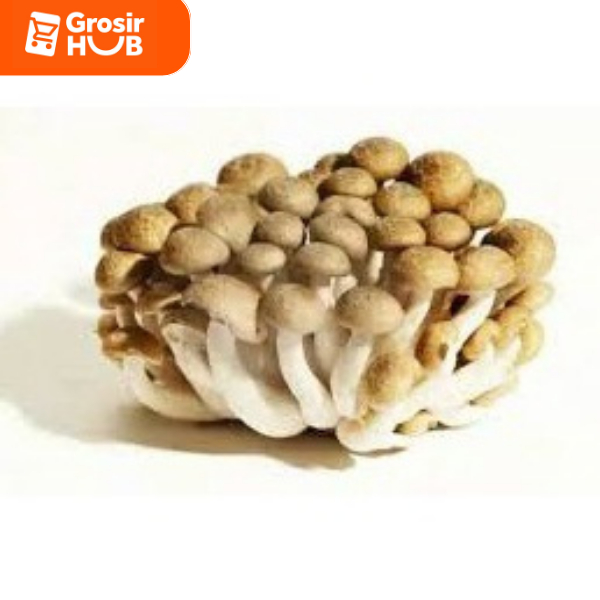 

Jamur Shimeji coklat, Import 1pack