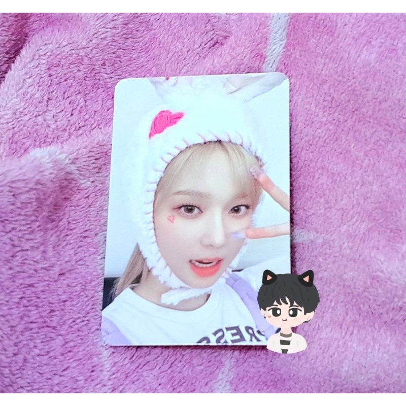 pc winter bunny lts 4×6 aespa