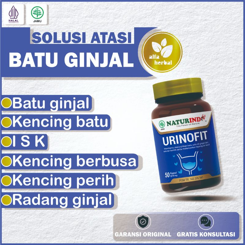 Obat Batu Ginjal Infeksi Saluran Kemih Kencing Berbusa Herbal Urinofit Naturindo