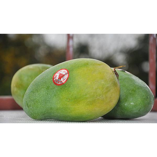 

Mangga Harum Manis 1 kg