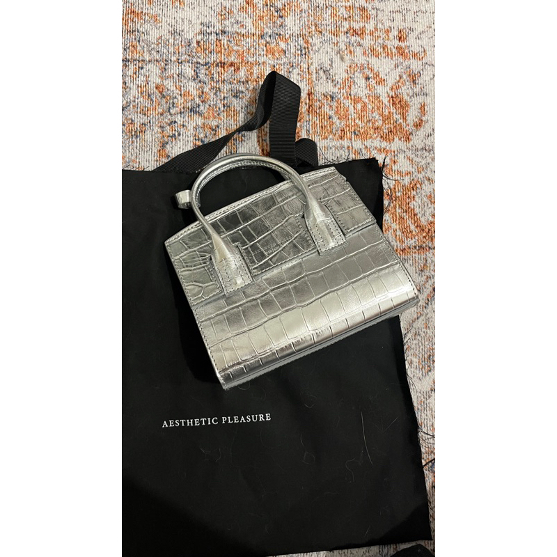 aesthetic pleasure micro isolation croco silver bag