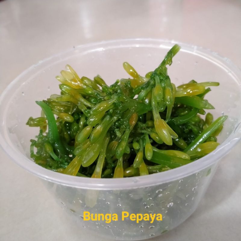 

manisan halua bunga pepaya